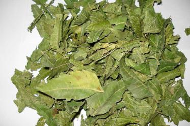 Neem Loose Leaf Tea 